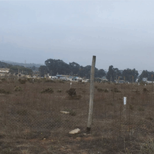 TERRENOS PUNTA TRALCA