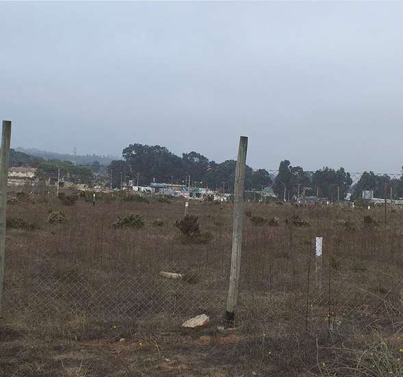 TERRENOS PUNTA TRALCA